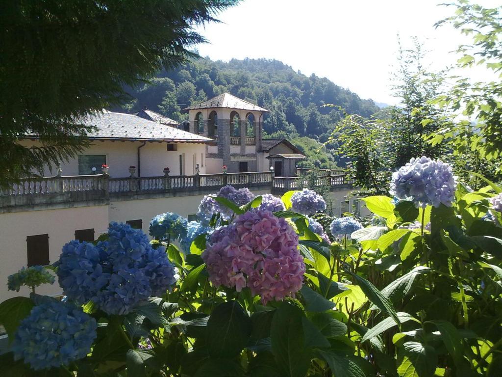 Hotel Villa Delle Ortensie Sant'Omobono Terme Luaran gambar